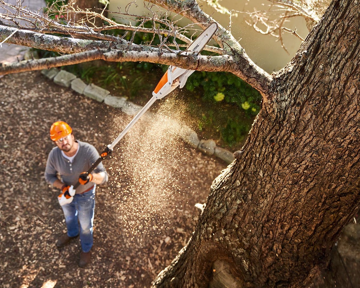 STIHL HTA50 Cordless Pole Pruner